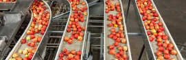 Tecnología y procesamiento de alimentos 