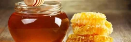 Miel de abeja y sus procesos 