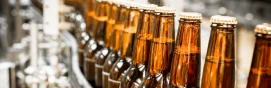 Bebidas fermentadas 