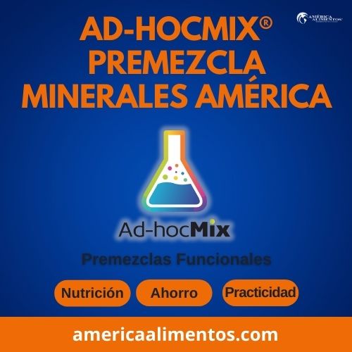 Ad-HocMix® premezcla minerales América