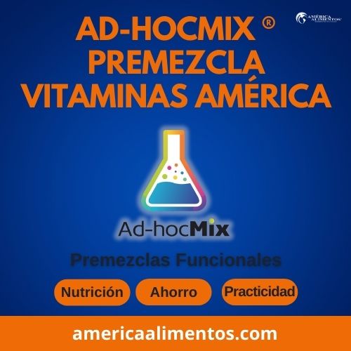 Ad-HocMix ® premezcla vitaminas América