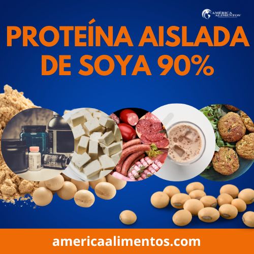 Proteína aislada de soya 90%